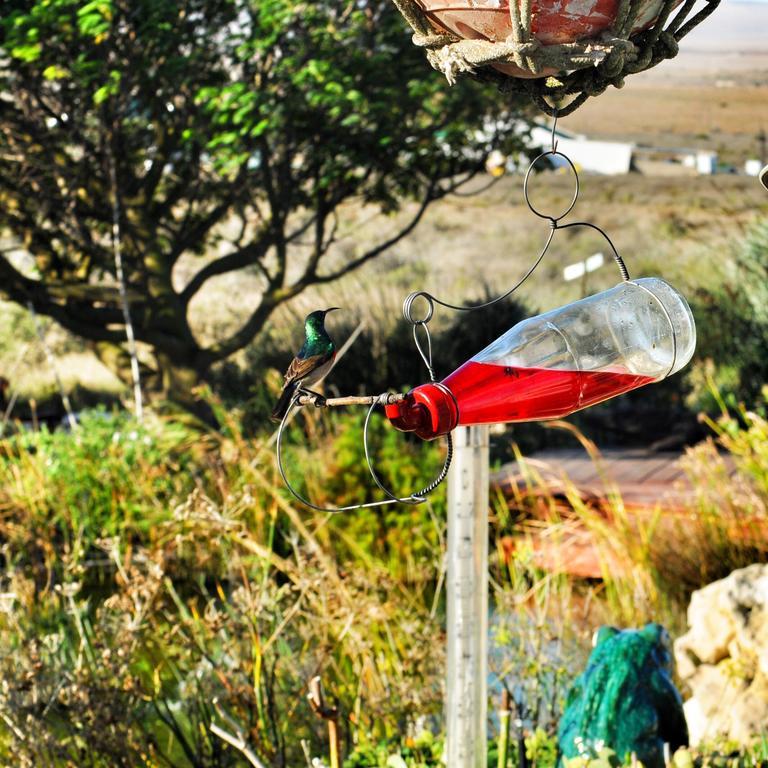 Farr Out Guest House Paternoster Esterno foto
